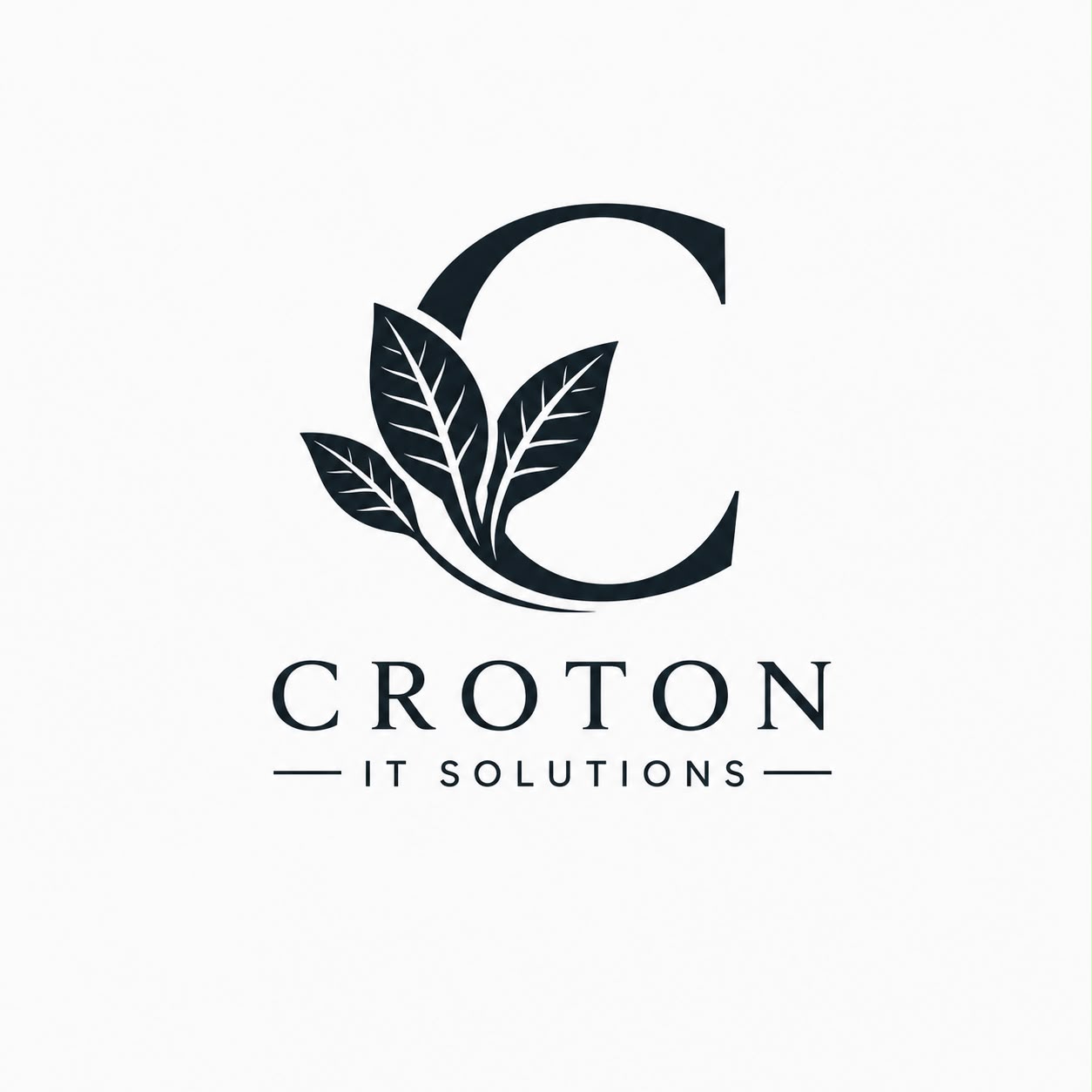 Croton IT Solutions